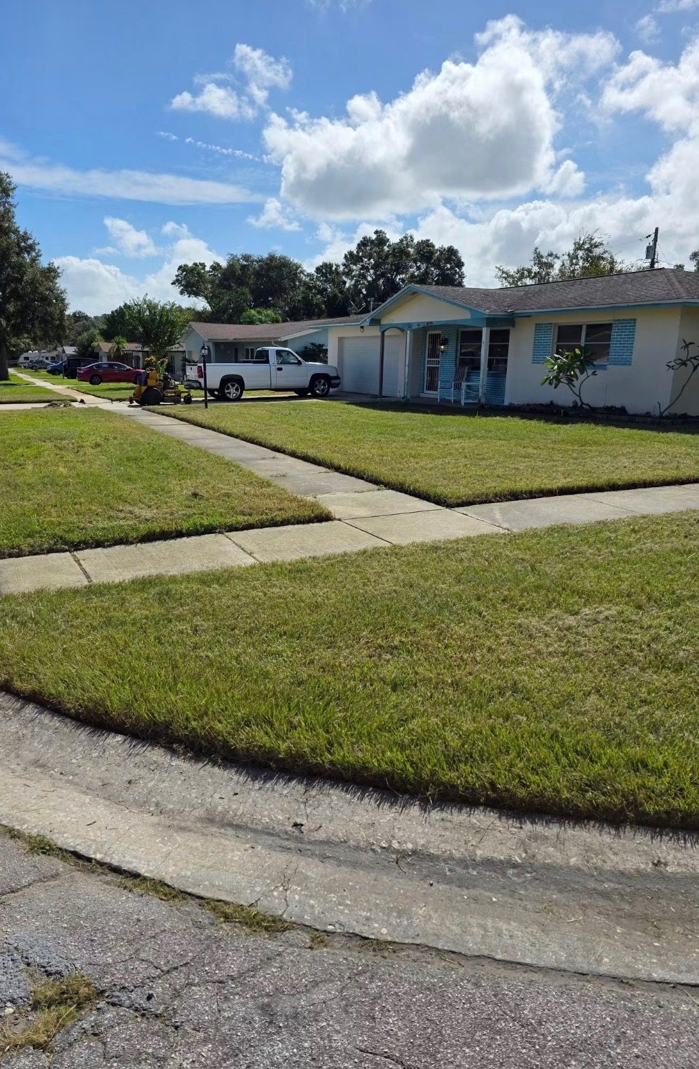 Freshly mowed and edged lawn after service