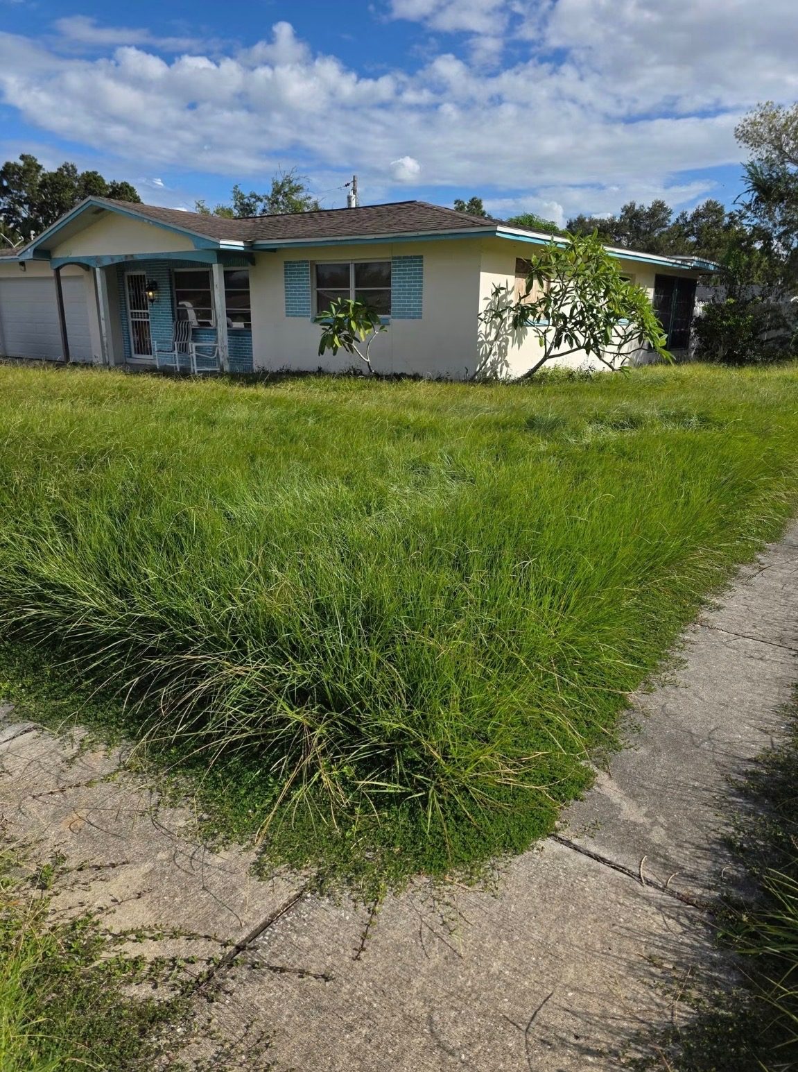 Overgrown lawn before mowing service
